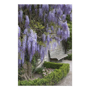 Europe, Austria, Salzburg Stadt, Salzburg, Photo Print
