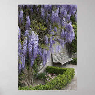 Europe, Austria, Salzburg Stadt, Salzburg, Poster