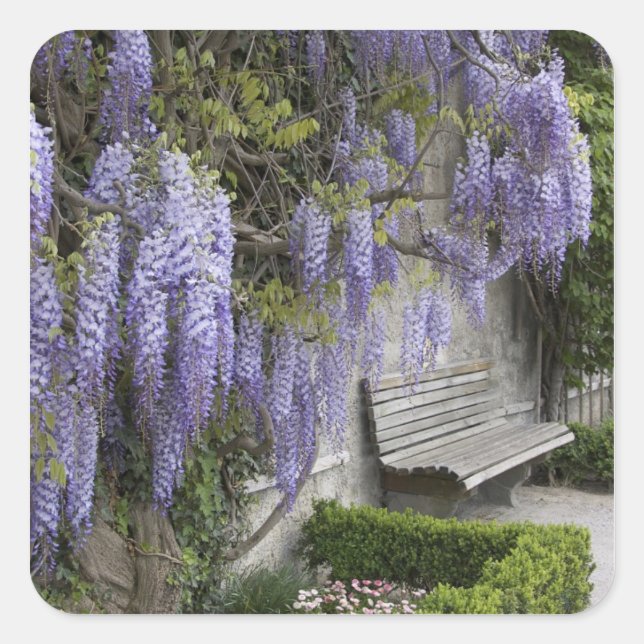 Europe, Austria, Salzburg Stadt, Salzburg, Square Sticker (Front)