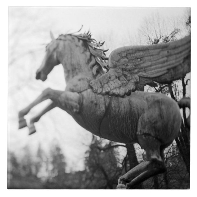 Europe, Austria, Salzburg. Winged horse statue, 2 Ceramic Tile (Front)