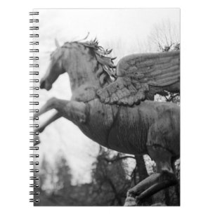 Europe, Austria, Salzburg. Winged horse statue, 2 Notebook