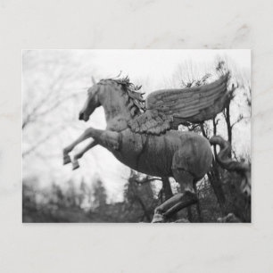 Europe, Austria, Salzburg. Winged horse statue, 2 Postcard