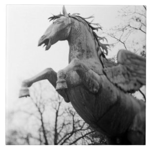 Europe, Austria, Salzburg. Winged horse statue, Tile