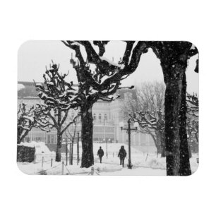 Europe, Austria, Salzburg. Winter, Magnet