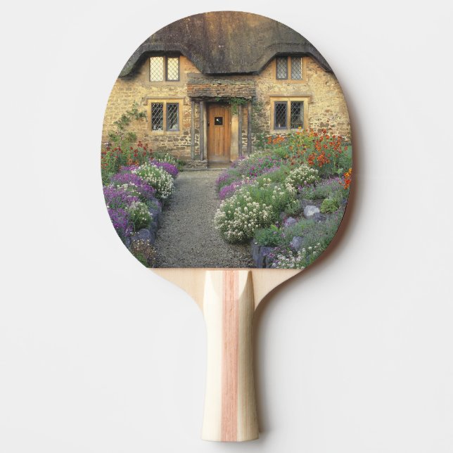 Europe, England, Chippenham. Early morning light Ping Pong Paddle (Front)