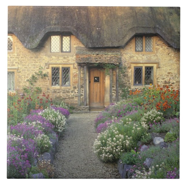 Europe, England, Chippenham. Early morning light Tile (Front)