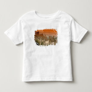 Europe, England, Dorset, Shaftesbury. Gold hill Toddler T-Shirt