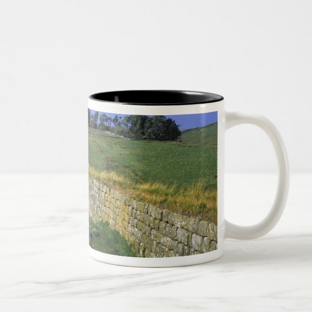 Europe, England, Hadrian's Wall. The stones of Two-Tone Coffee Mug (Right)