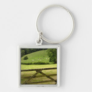 Europe, England, Lake District, Cumbria, Key Ring