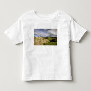 Europe, England, Northumberland. Hadrian's Toddler T-Shirt