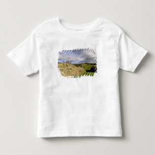 Europe, England, Northumberland. Hadrian's Toddler T-Shirt
