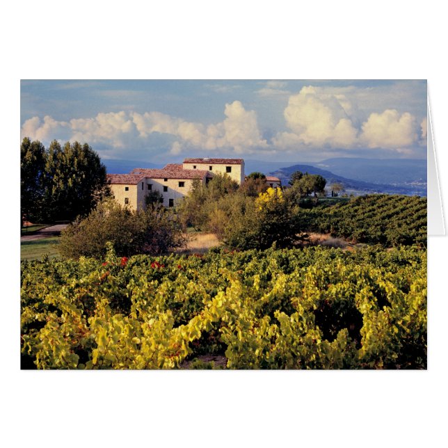 Europe, France, Bonnieux. Vineyards cover the (Front Horizontal)