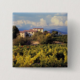 Europe, France, Bonnieux. Vineyards cover the 15 Cm Square Badge