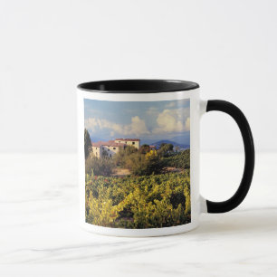 Europe, France, Bonnieux. Vineyards cover the Mug