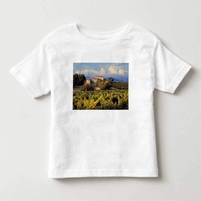 Europe, France, Bonnieux. Vineyards cover the Toddler T-Shirt (Front)