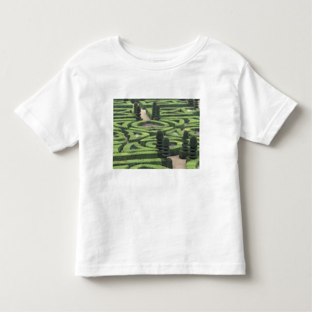 Europe, France, Indre, et, Loire; Loire Toddler T-Shirt (Front)