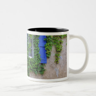 Europe, France, Lourmarin. Cascading ivy Two-Tone Coffee Mug