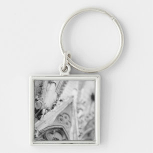 Europe, France, Paris. Detail: sculpture on Key Ring