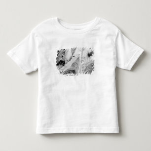 Europe, France, Paris. Detail: sculpture on Toddler T-Shirt
