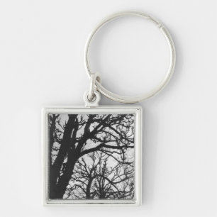 Europe, France, Paris. Winter trees, Marco Key Ring