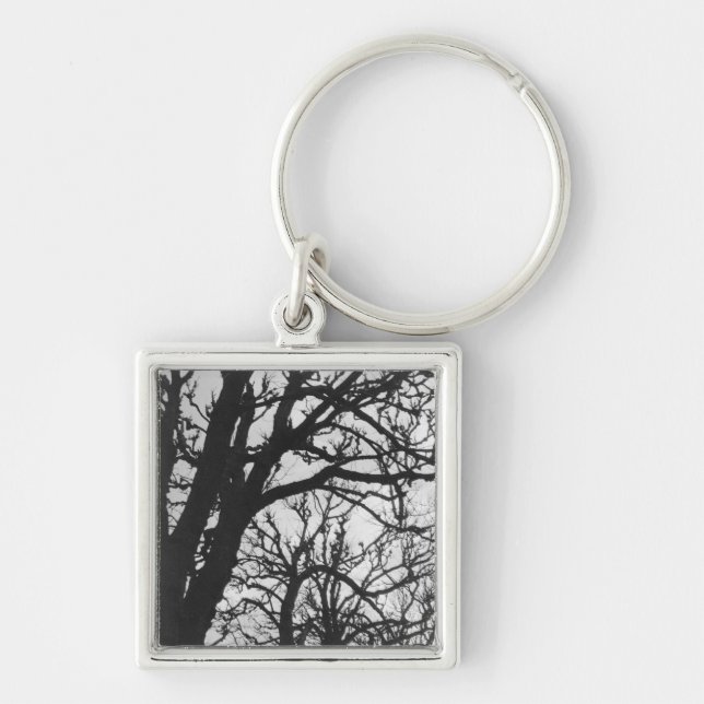 Europe, France, Paris. Winter trees, Marco Key Ring (Front)