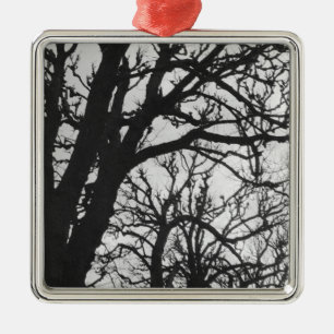 Europe, France, Paris. Winter trees, Marco Metal Ornament