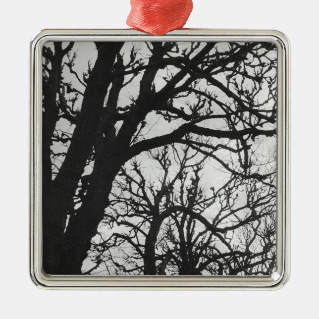 Europe, France, Paris. Winter trees, Marco Metal Ornament (Front)