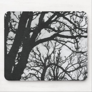 Europe, France, Paris. Winter trees, Marco Mouse Pad