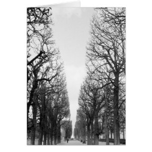 Europe, France, Paris. Winter trees, Marco Polo