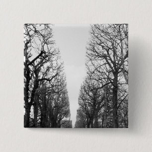 Europe, France, Paris. Winter trees, Marco Polo 15 Cm Square Badge