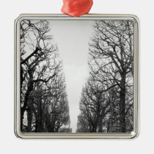 Europe, France, Paris. Winter trees, Marco Polo Metal Tree Decoration