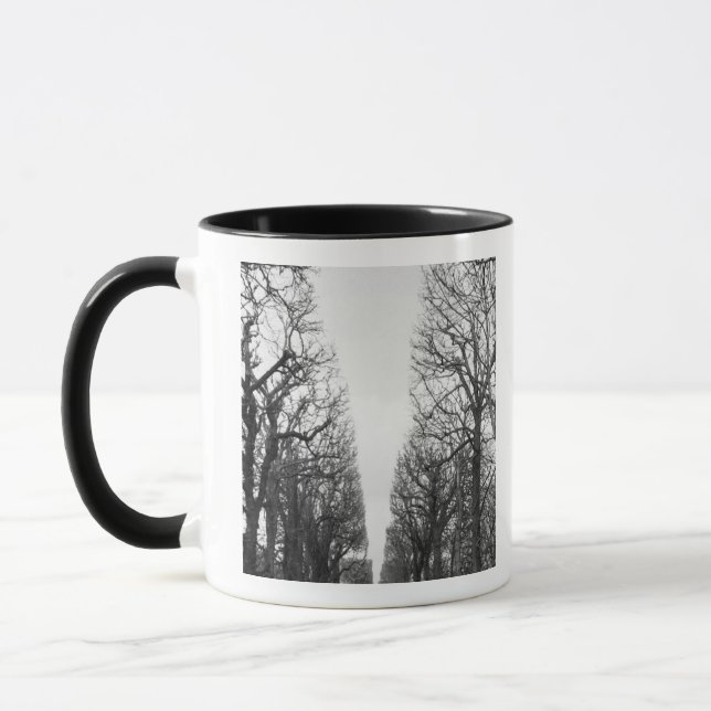 Europe, France, Paris. Winter trees, Marco Polo Mug (Left)