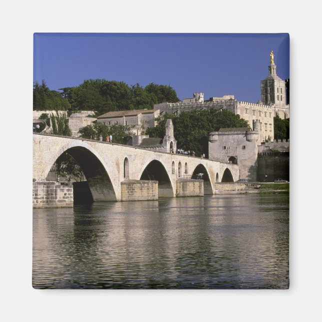 Europe, France, Provence, Avignon. Palais des Magnet (Front)