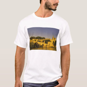 Europe, France, Provence, Avignon. Pont St, 2 T-Shirt