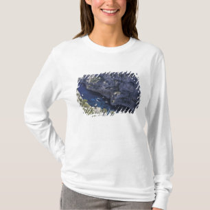Europe, France, Provence, Calanques. Limestone T-Shirt
