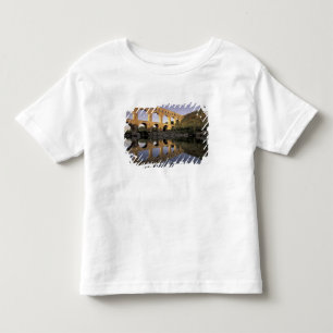 Europe, France, Provence, Gard; Pont du Gard, Toddler T-Shirt