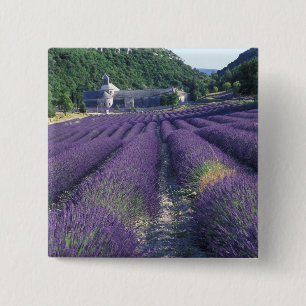 Europe, France, Provence. Lavander fields 15 Cm Square Badge
