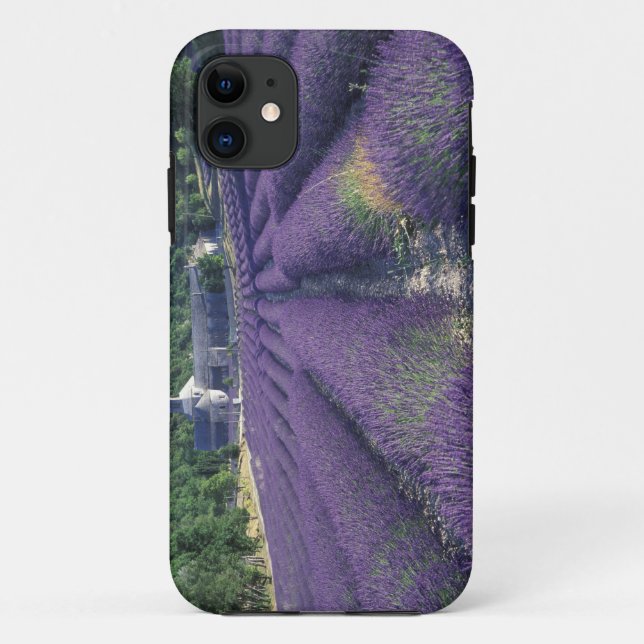 Europe, France, Provence. Lavander fields Case-Mate iPhone Case (Back)