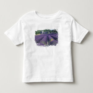 Europe, France, Provence. Lavander fields Toddler T-Shirt