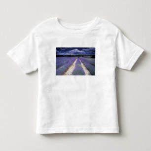 Europe, France, Provence. Lavander fields Toddler T-Shirt