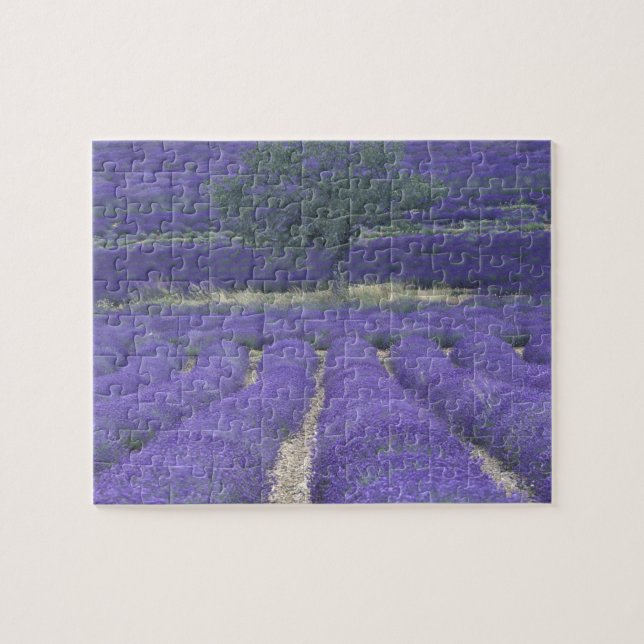 Europe, France, Provence, Sault, Lavender fields 2 Jigsaw Puzzle (Horizontal)