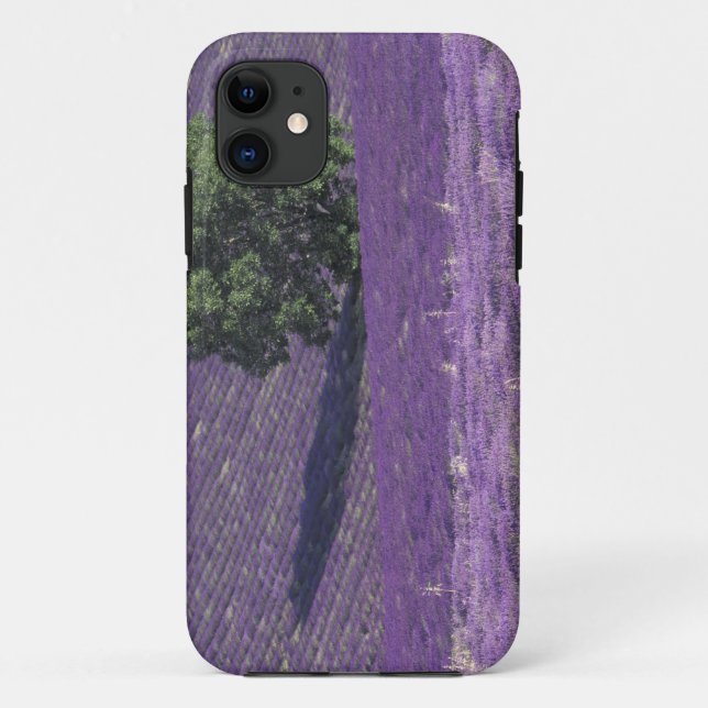 Europe, France, Provence, Sault, Lavender fields Case-Mate iPhone Case (Back)