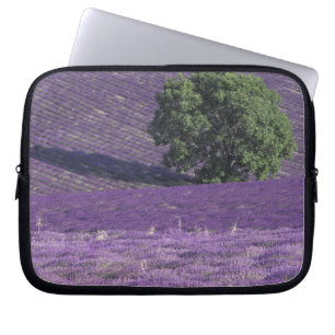 Europe, France, Provence, Sault, Lavender fields Laptop Sleeve
