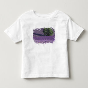 Europe, France, Provence, Sault, Lavender fields Toddler T-Shirt