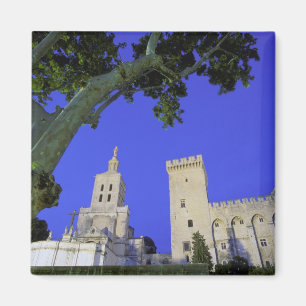 Europe, France, Provence, Vaucluse, Avignon. Magnet