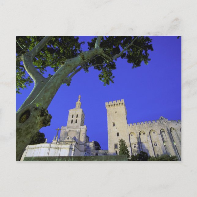 Europe, France, Provence, Vaucluse, Avignon. Postcard (Front)