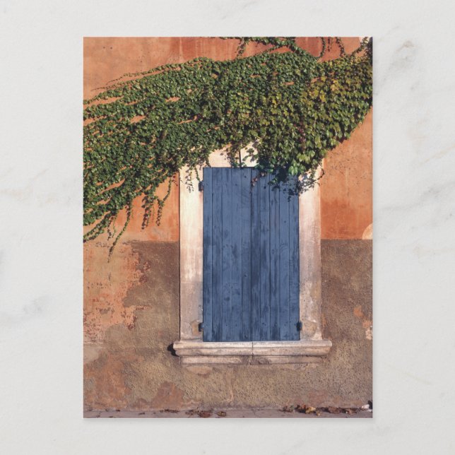 Europe, France, Roussillon. Ivy covers the wall Postcard (Front)