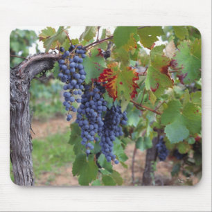 Europe, France, Roussillon. Vineyards, with Mouse Pad