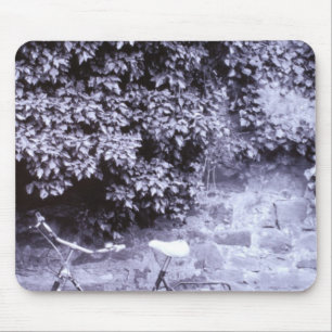 Europe, Germany, Baden, Wurttemberg, Heidelberg. 2 Mouse Pad