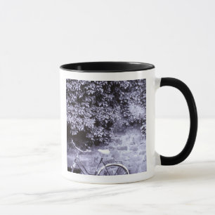 Europe, Germany, Baden, Wurttemberg, Heidelberg. 2 Mug